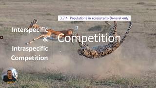 Competition  Intraspecific amp Interspecific [upl. by Aisauqal]