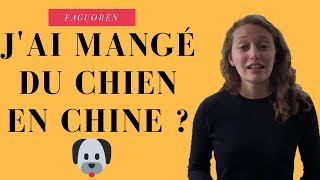 Les chinois mangent ils vraiment du chien  🐕 [upl. by Ellenyl]