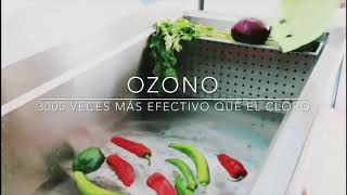 DESINFECCIÓN DE VEGETALES CON OZONO [upl. by Roux]