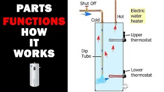 How an Electric Water Heater Works [upl. by Eneja663]