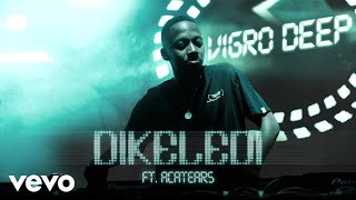 Vigro Deep  Dikeledi Visualizer ft Acatears [upl. by Eojyllib]