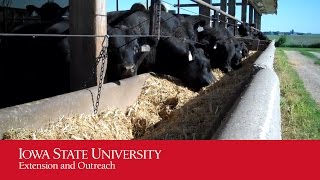 Feedlot Runoff Management [upl. by Greg984]