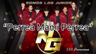 Perrea Mami Perrea  Los Junior [upl. by Chin]