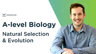 Natural Selection amp Evolution  Alevel Biology  OCR AQA Edexcel [upl. by Atikan86]