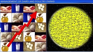 CBSE Class 12 Biology  Strategies for Enhancement In Food Production  Full Chapter  By Shiksha [upl. by Sevik]