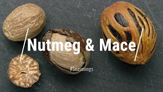 NUTMEG amp MACE What Are They How Are They Related Everything You Need To Know About NUTMEG amp MACE [upl. by Sears]