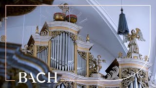 Bach  Fantasia and fugue in C minor BWV 537  Wiersinga  Netherlands Bach Society [upl. by Barcellona841]