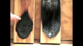 Fire Retardant Coating for Wood [upl. by Anelis287]