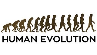 Human Evolution Animation [upl. by Tesil542]