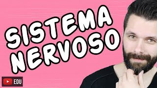 SISTEMA NERVOSO  FISIOLOGIA  Aula  Biologia com Samuel Cunha [upl. by Bolanger681]