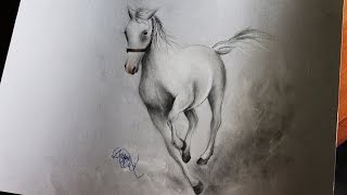 How to draw a horse  Come disegnare un cavallo [upl. by Hege644]