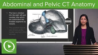 Normal Abdominal amp Pelvic CT Anatomy Algorithm – Radiology  Lecturio [upl. by Ynafit716]