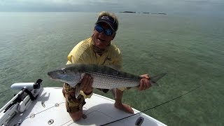 Screaming Bonefish Fishing the Flats In Downtown Islamorada Florida [upl. by Sirk]