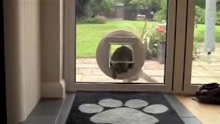 SureFlap Microchip Pet Door Glass Installation [upl. by Yecnay179]