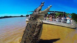 BIGGEST Crocodiles In The World [upl. by Ianteen]