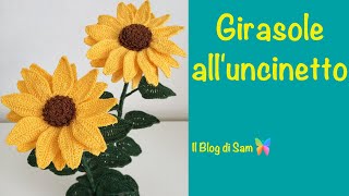 Spiegazione del Girasole alluncinetto [upl. by Adis]