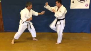 Goju Ryu Karate  Ippon Kumite Takedowns [upl. by Socher]