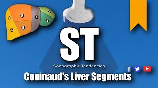 Ultrasound Couinauds Liver Segments [upl. by Elset]