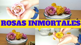 COMO SECAR ROSAS EN 3 MINUTOS [upl. by Domonic248]