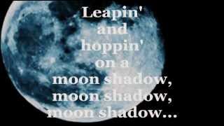 MOONSHADOW Lyrics  CAT STEVENS [upl. by Pickett]