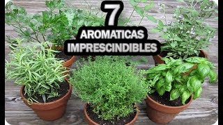 7 Aromáticas IMPRESCINDIBLES En El Huerto Urbano O Jardín  La Huertina De Toni [upl. by Onaicram]