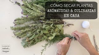 Cómo secar hierbas aromáticas y culinarias en casa [upl. by Admana612]