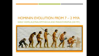 Hominin Evolution Part 1 The First 5 Million Years [upl. by Sosanna]