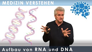 Aufbau von RNA und DNA  super verständlich│Dr Dr Damir del Monte│Encephalon MedizinVideos [upl. by Niwdla179]