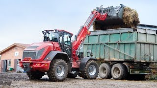 Weidemann – Hoftrac 1390 Einsatz Pferdehof [upl. by Akehs]