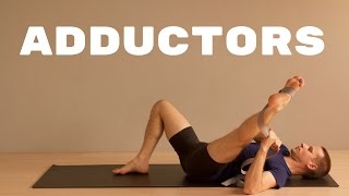 Hip Adductor Groin Stretch  Active Isolated Stretching [upl. by Rhynd724]