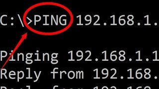 Simple PING commands [upl. by Eihs]