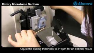 Rotary Microtome Section [upl. by Nuawtna]