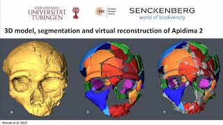 Homo Sapiens Dispersals Out of Africa [upl. by Ugo84]