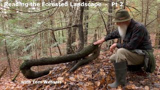 Tom Wessels Reading the Forested Landscape Part 2 [upl. by Eiggep]