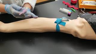 Phlebotomy Venipuncture Procedure [upl. by Bartko]