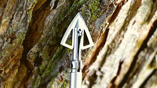 Bloodsport Gravedigger Broadhead Review [upl. by Nasar]