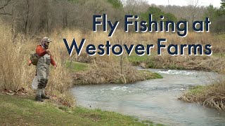 Fly Fishing at Westover Farms  Steelville Missouri [upl. by Crispas]