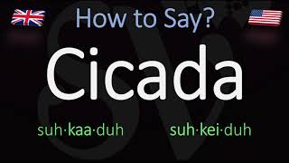 How to Pronounce Cicada British Vs American Pronunciation  Spanish [upl. by Vacla720]