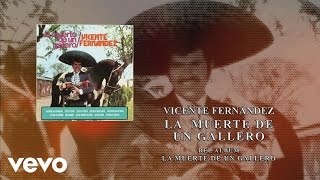 Vicente Fernández  La Muerte de un Gallero Cover Audio [upl. by Ikkin354]