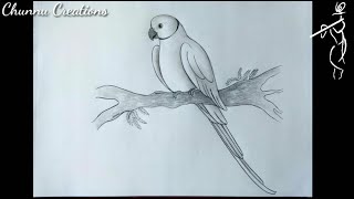 How to draw parrot sketch Parrot drawing Realistic Parrot sketch [upl. by Morten]