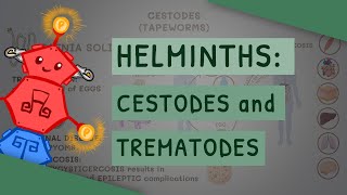 Helminths Cestodes and Trematodes transmission clinical importance and treatment [upl. by Lewin]