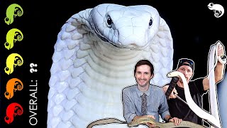 King Cobra The Best Pet Snake The Most DANGEROUS Day Of My Life [upl. by Oynotna]