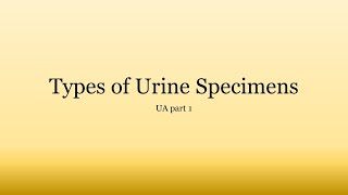 Urinalysis Basics Types of Urine Specimens [upl. by Getter680]