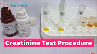 Serum Creatinine Test  Creatinine Blood Test [upl. by Hajidak107]