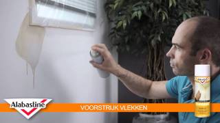 How to  Voorstrijk Vlekken  Alabastine [upl. by Mide823]