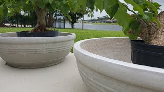 DIY  LARGE CONCRETE PLANTER ANY SIZE FOR LESS [upl. by Eleazar212]