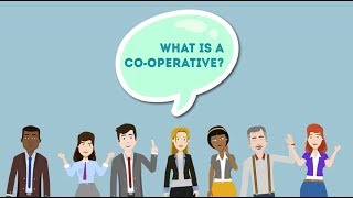 What is a coop [upl. by Gertrud]