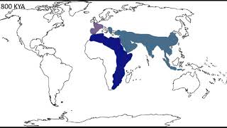 The Origin Of Homo Sapiens [upl. by Soinotna]