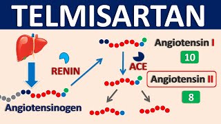 Telmisartan  Mechanism side effects precautions amp uses [upl. by Baillie334]