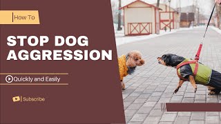 How to stop Dog Aggression quickly And easily  In a few steps [upl. by Ardeen]